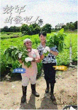 纪录片路牌：风沙中的测量队与仪器